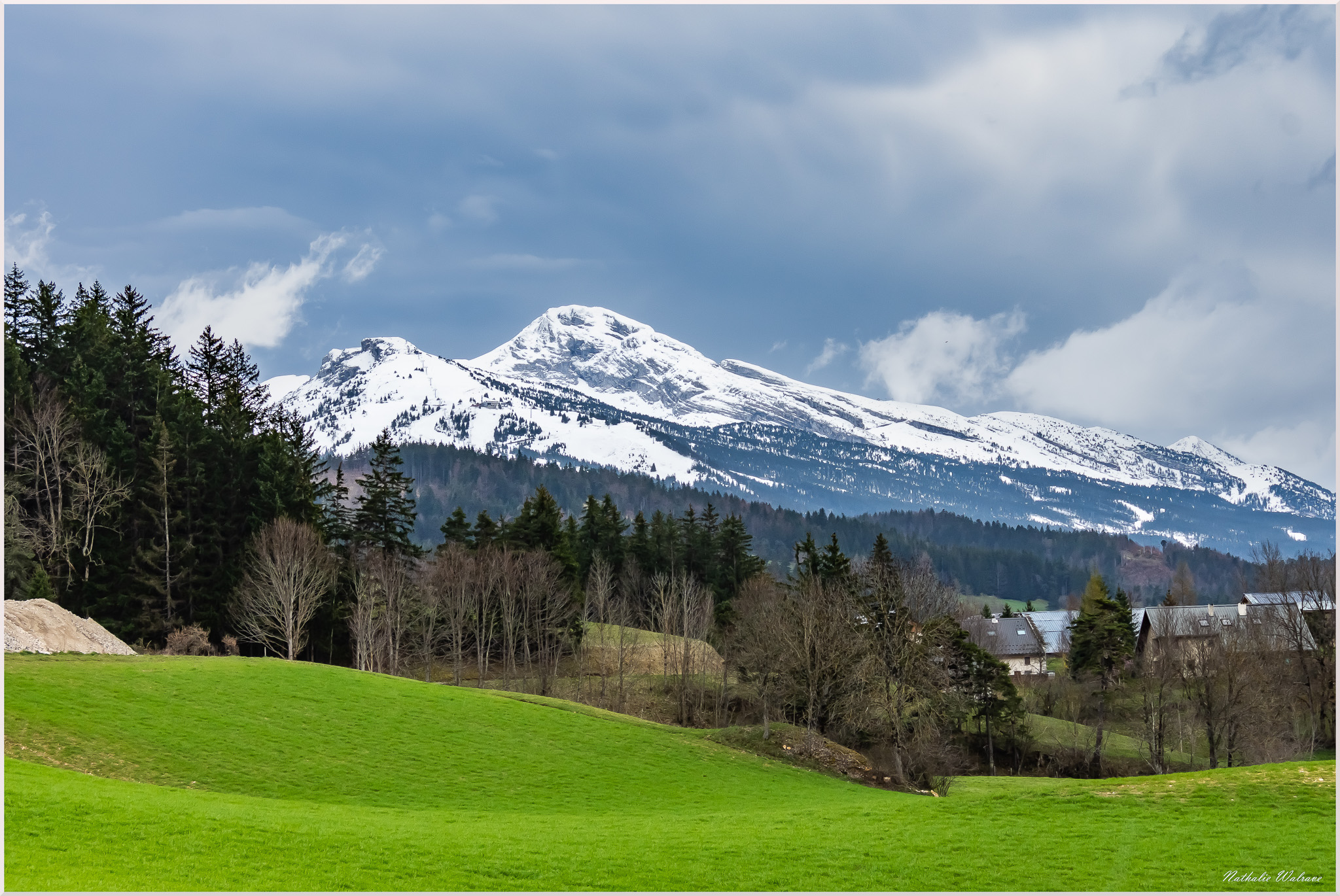 La Moucherolle aux couleurs du printemps